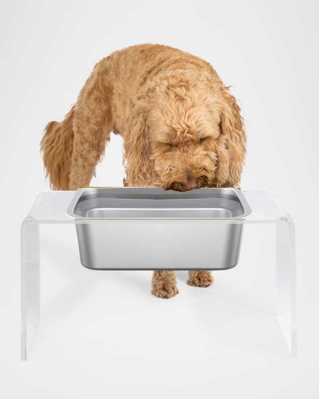 Tall Clear Trough Single Bowl Feeder, 1 Gallon